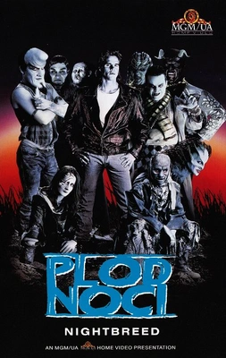 Film Plod noci