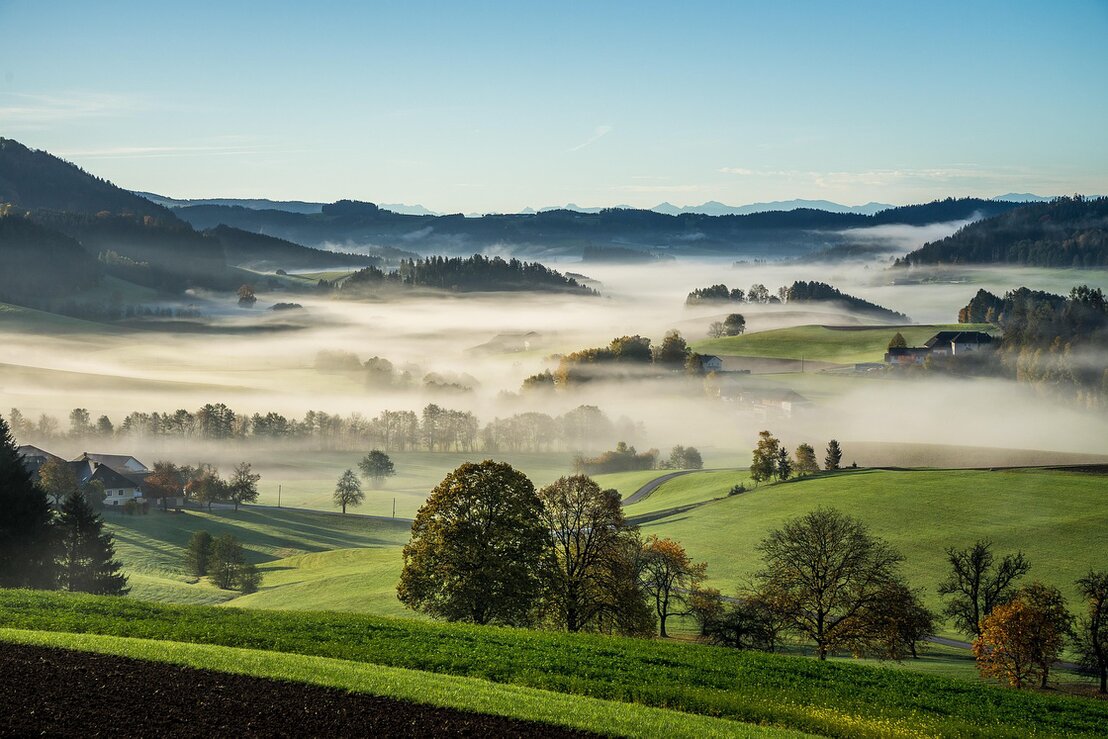 Zelená krajina s kopci a lesem při západu slunce